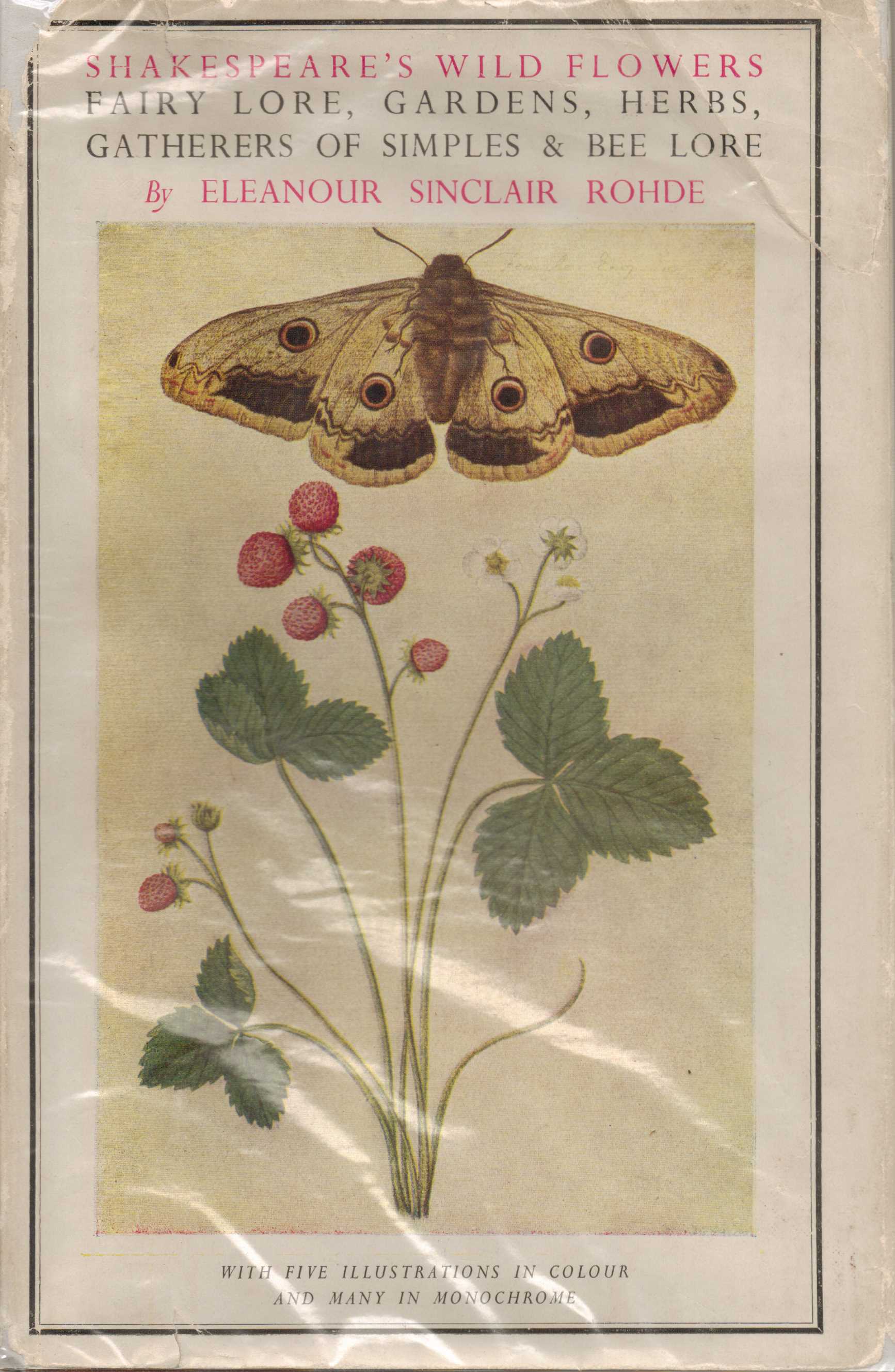 Image for Shakespeare's Wild Flowers : Fairly lore, gardens, herbs, gatherers of simples and bee lore