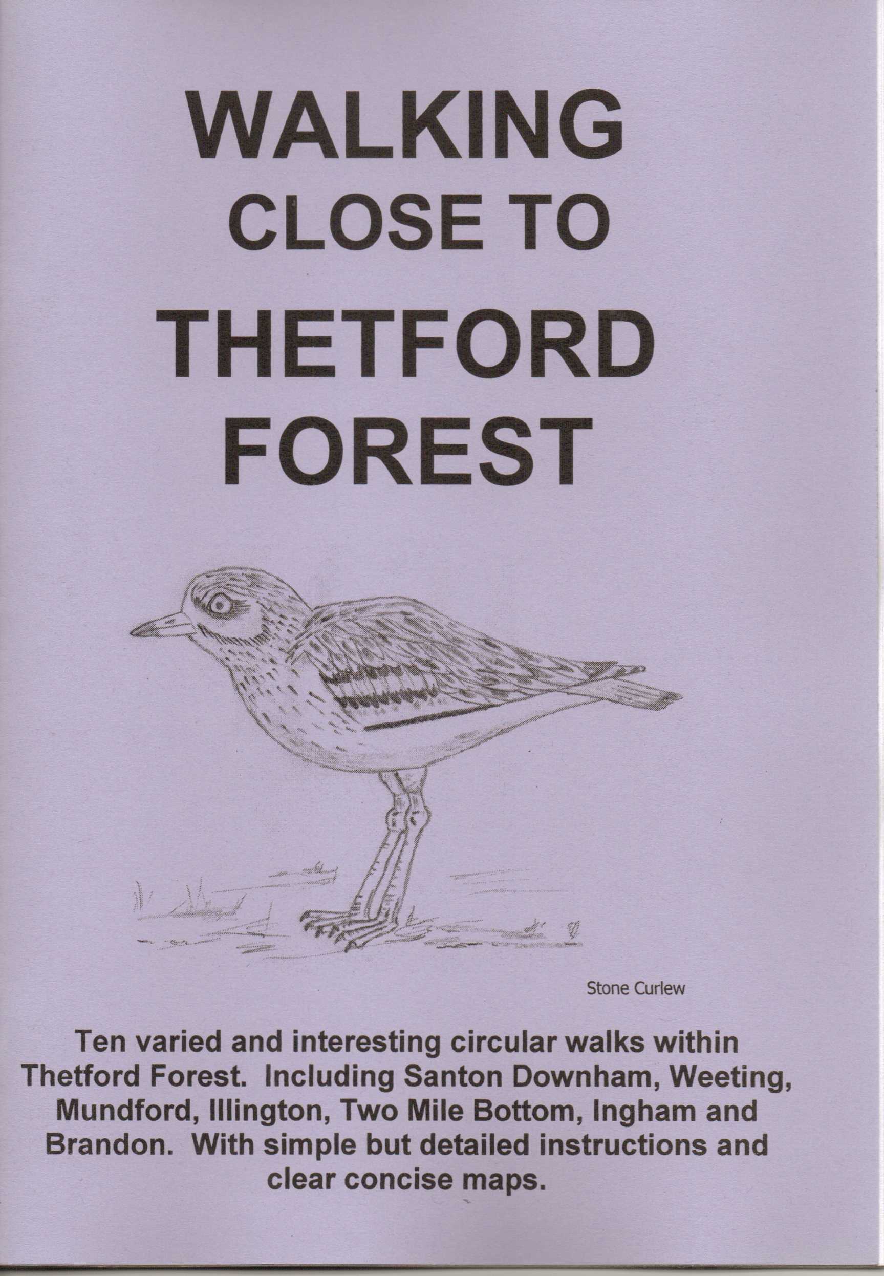 Image for Walking Close to Thetford Forest