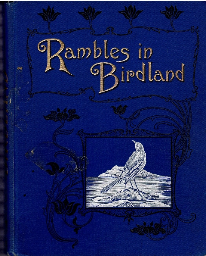 Image for Rambles in Birdland.
