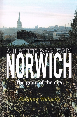 Image for Subterranean Norwich: The grain of the city