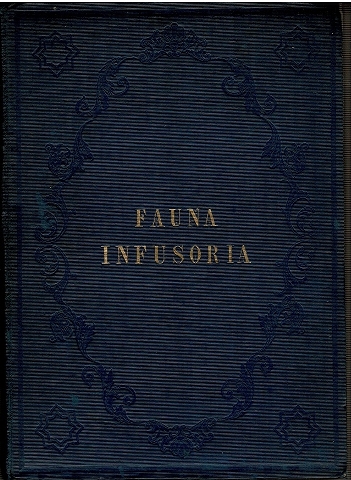 Image for Sketch of a Fauna Infusoria, for East Norfolk.